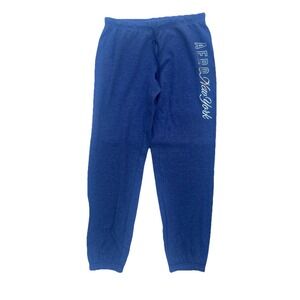 Aeropostale Junior Sz. Medium Irridescent Logo New York Jogger Sweatpants NWT